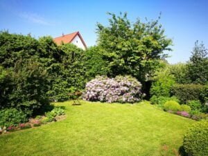 Read more about the article Havetips for begyndere – sådan kommer du godt i gang
